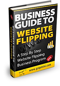 Business Guide to Website Flipping Cover
