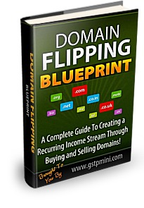 Domain Flipping Blueprint cover
