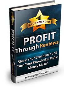 Profit Through Reviews Cover