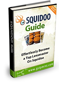Squidoo Guide Cover2